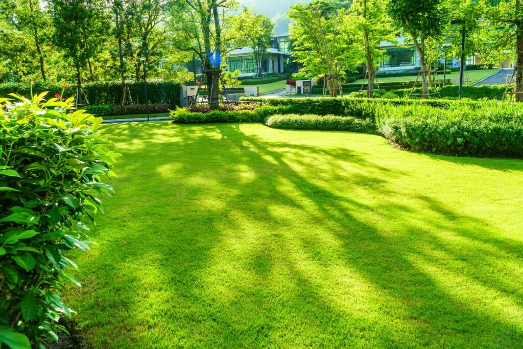 Why Choose Natural Weed Control for Your Lawn?