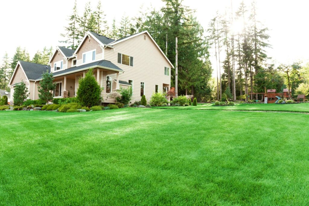 Natural Weed Removal Techniques for Eco-Friendly Lawn Care