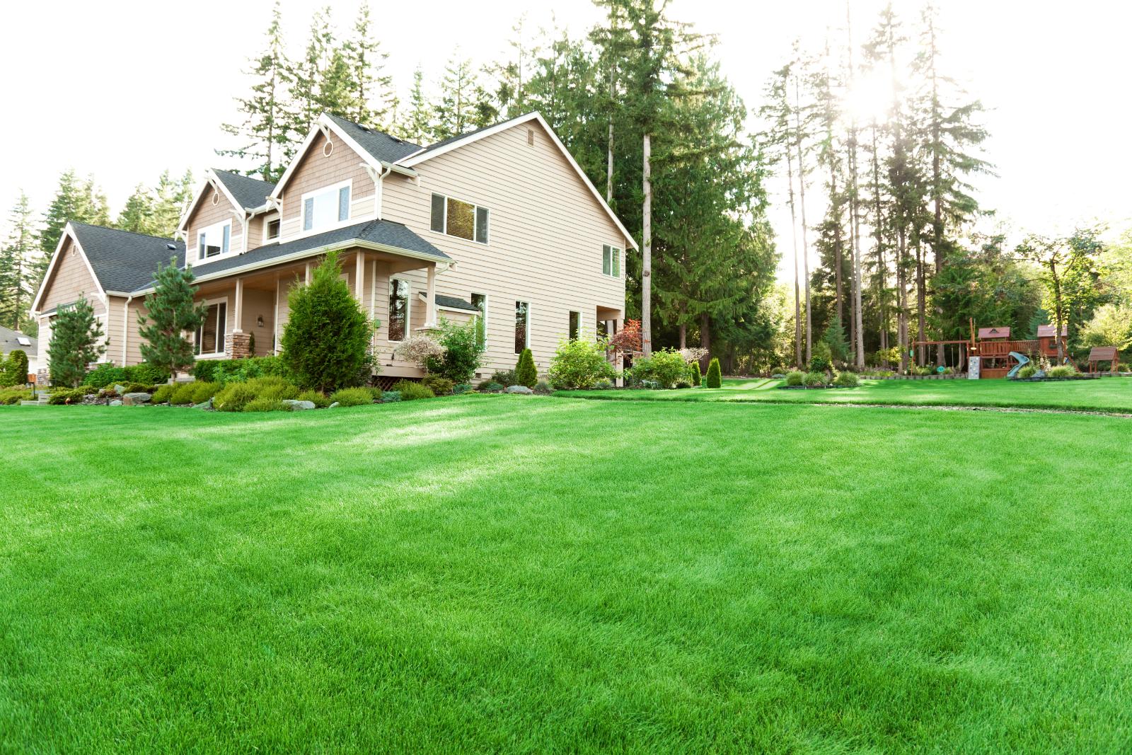 Photo inspiration: Natural Weed Removal Techniques For Eco Friendly Lawn Care Photo Inspiration