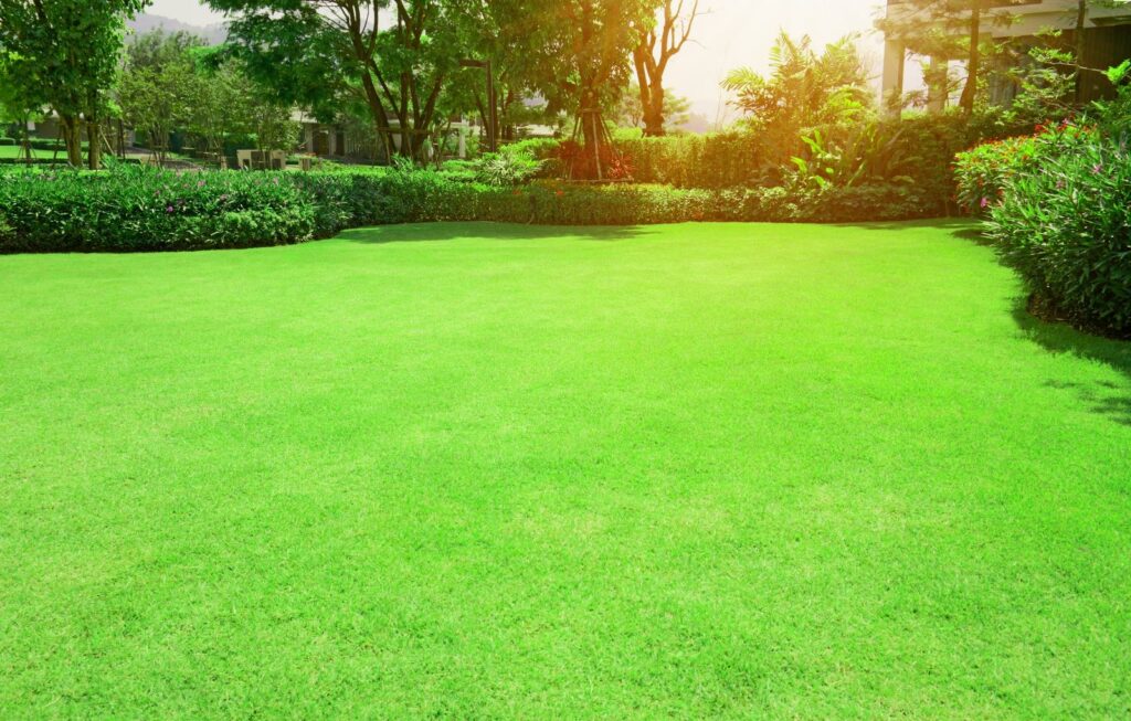 Gentle Weed Removal Methods for Healthy Lawns