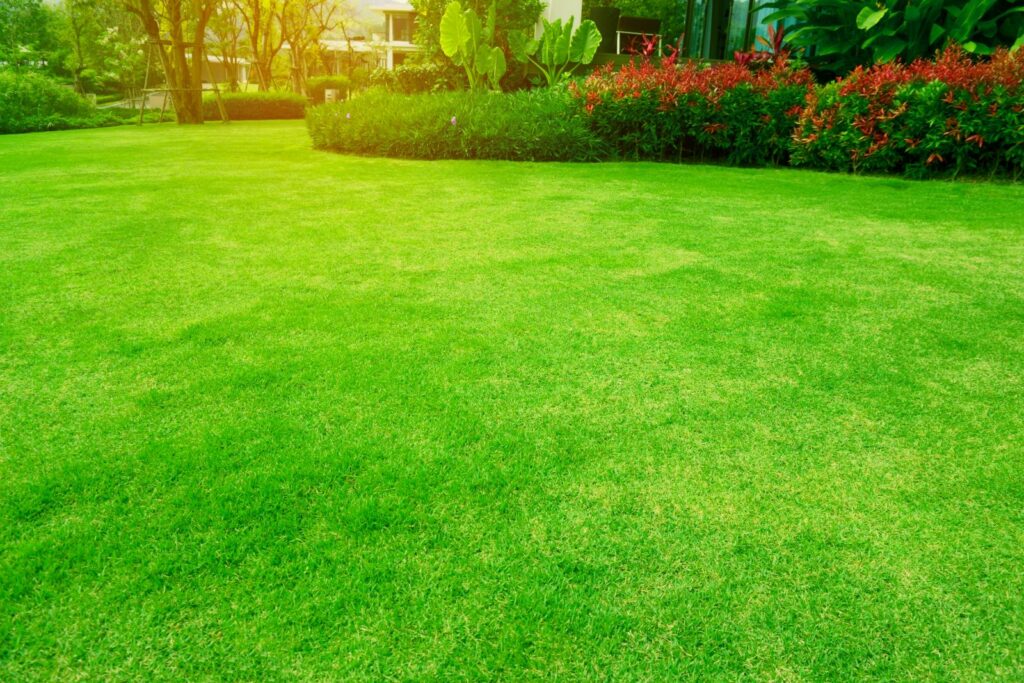 Integrating Weed Control in Lawn Care: A Complete Guide