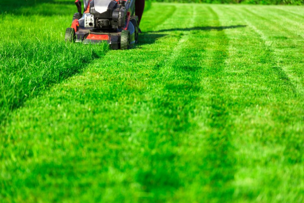 Enhancing Soil Health Through Sustainable Lawn Maintenance Practices