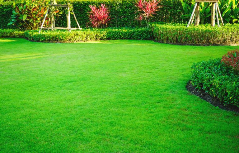 9 Best Natural Organic Weed Control Methods for Healthy Lawns