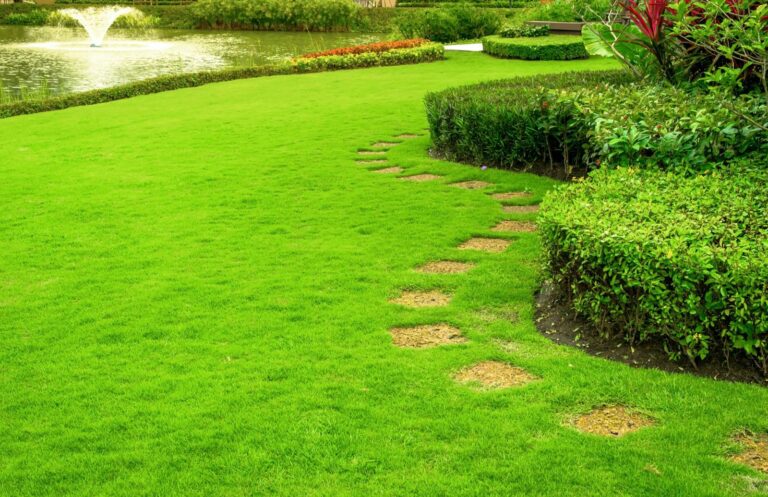 Top Lawn Care Tips for Weed Prevention