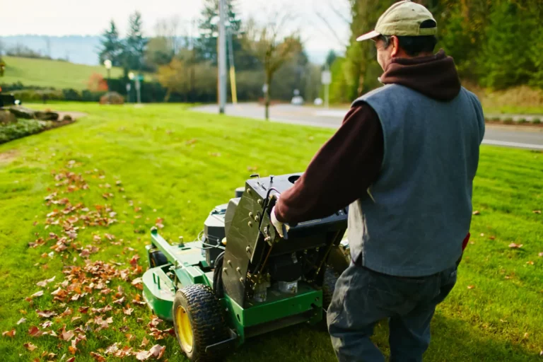 man mowing leafy lawn after Essential Lawn Pest Control Tips
