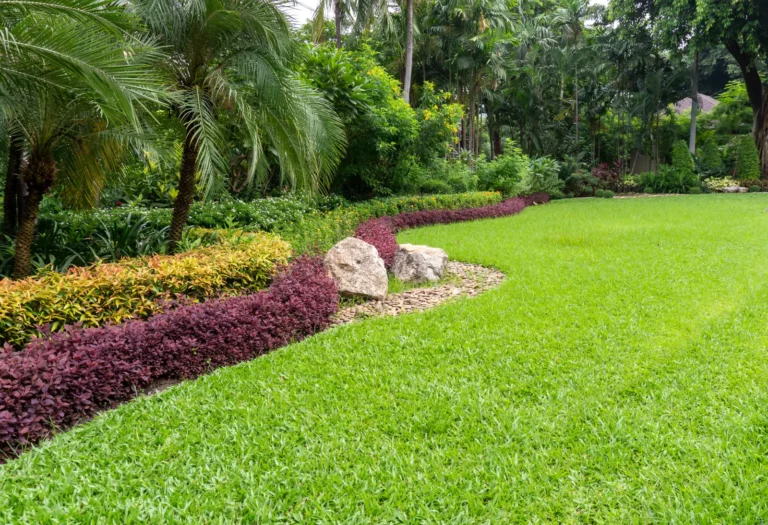 Best Lawn Pest Control nicely landscaped lawn