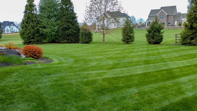 nicely mown green lawn and a Professional Lawn Care Services in Grand Rapids