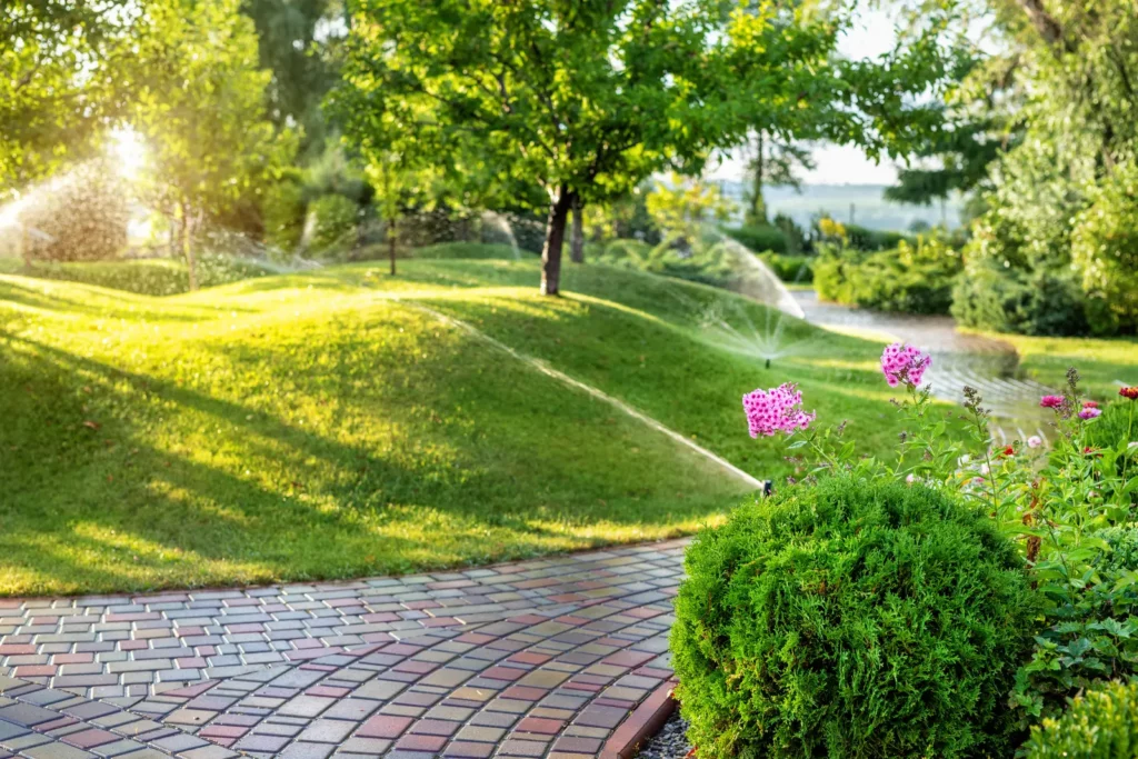 Experience a pretty lawn with active sprinklers with our Top Lawn Pest Control Solutions.