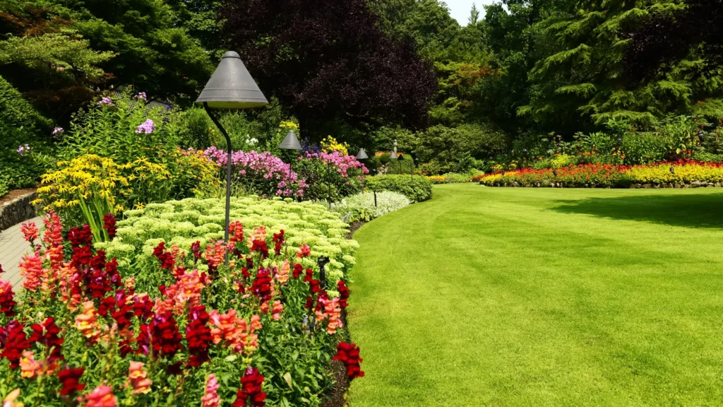 Transform your landscape with expert Lawn Care. From pretty lawns with flowers to fertilization to mowing, we've got your green oasis covered.