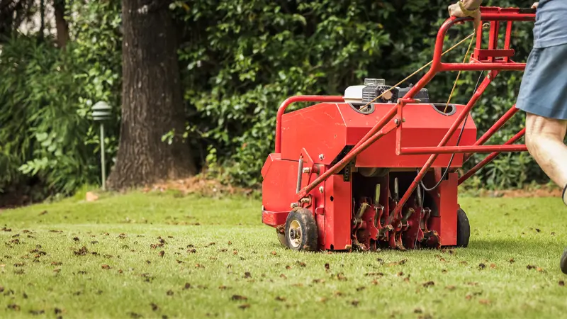 professional core aeration with Lawn Care Grand Rapids