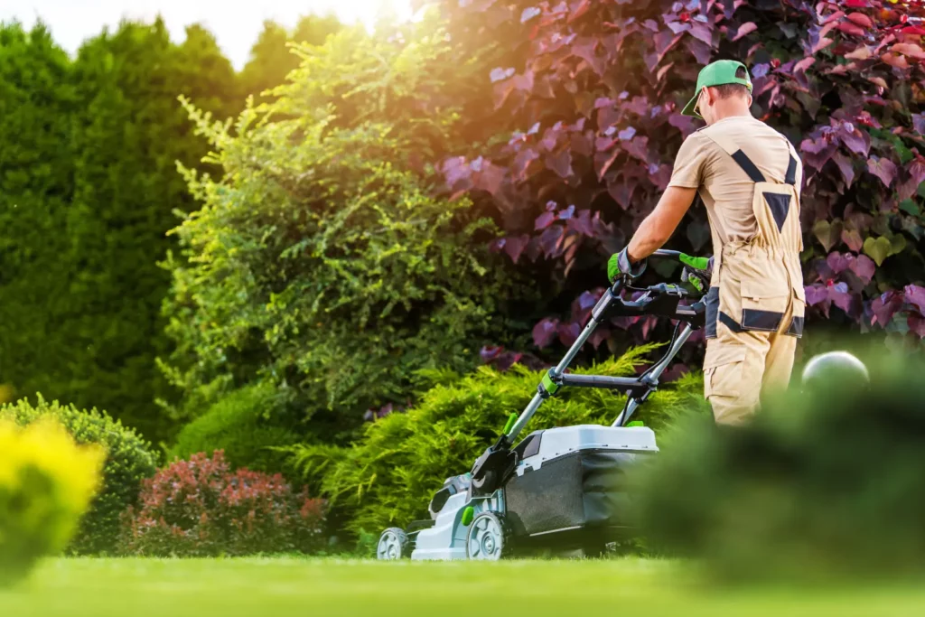 professional lawn mower working after Effective Lawn Insecticide Solutions.