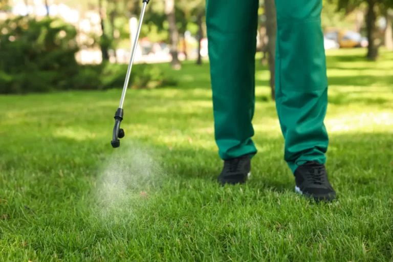 A picture of a person from the knees down wearing green pants. They are demonstrating how to fertilize your yard.