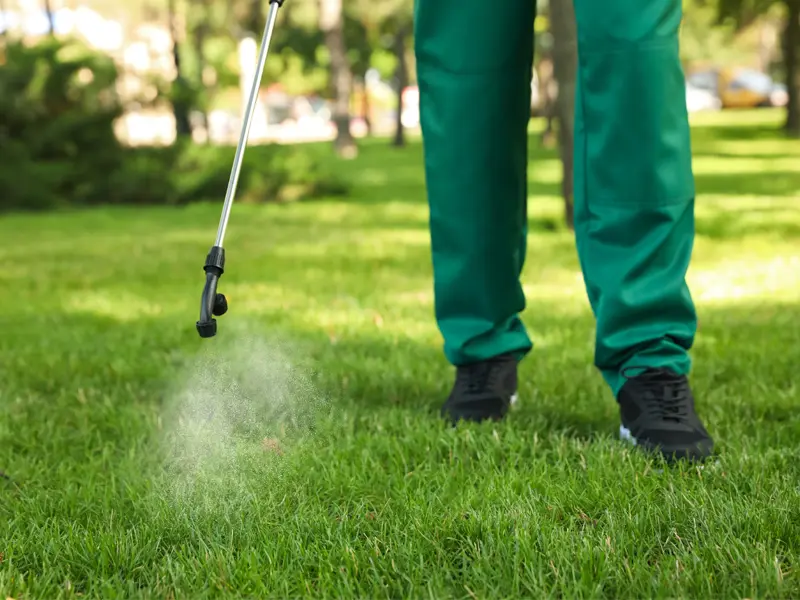Professional performing pest control treatment on a lawn