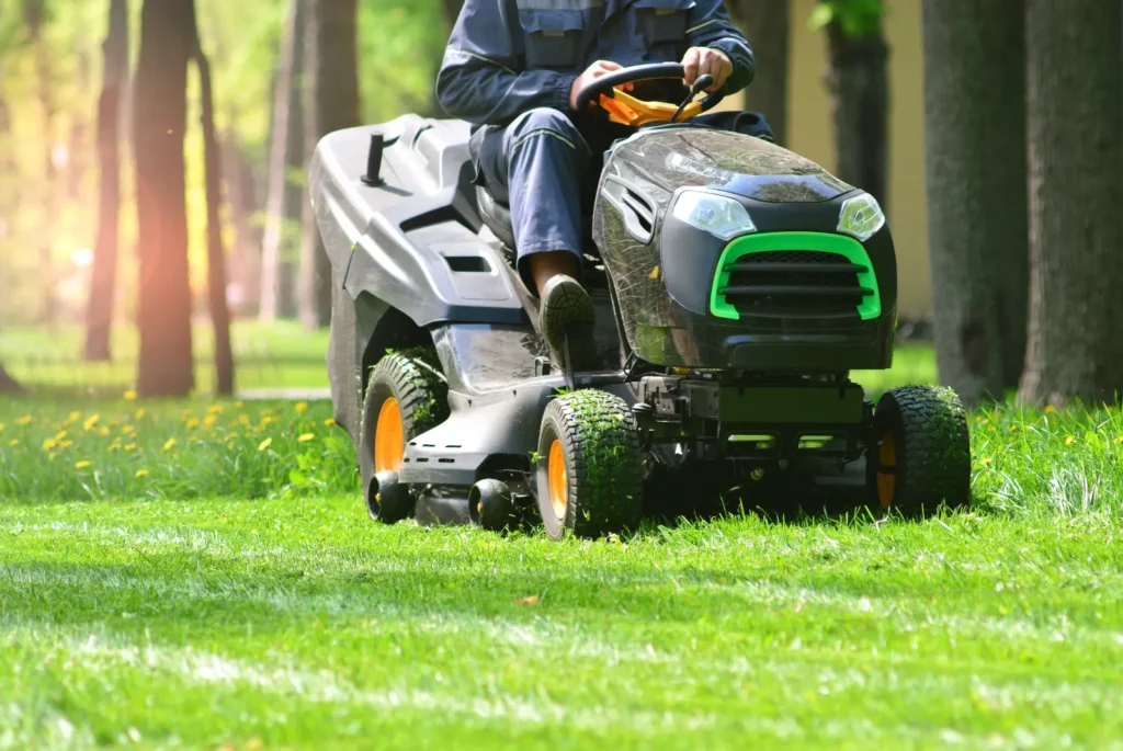Maintain a healthy lawn with our Top Grub Control Solutions. Our professionals are here to keep your green space vibrant and pest-free.