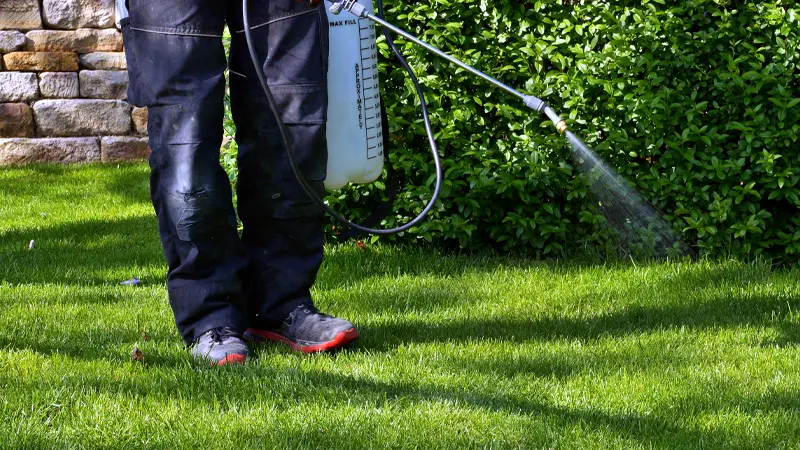 lawn care grand rapids spraying pesticide on lawn